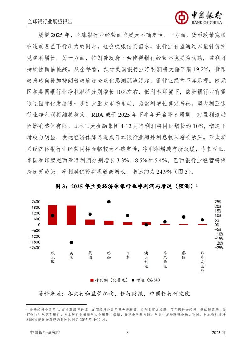 2025全球银行业展望报告（图10）