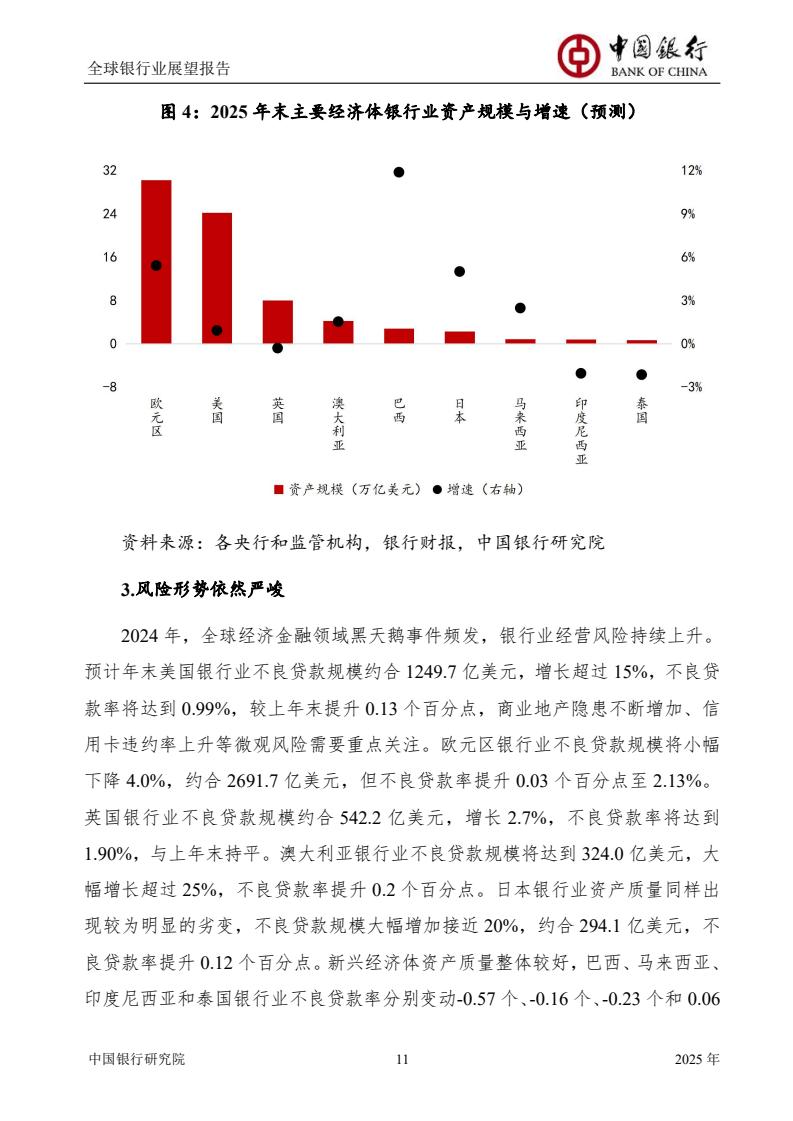 2025全球银行业展望报告（图13）