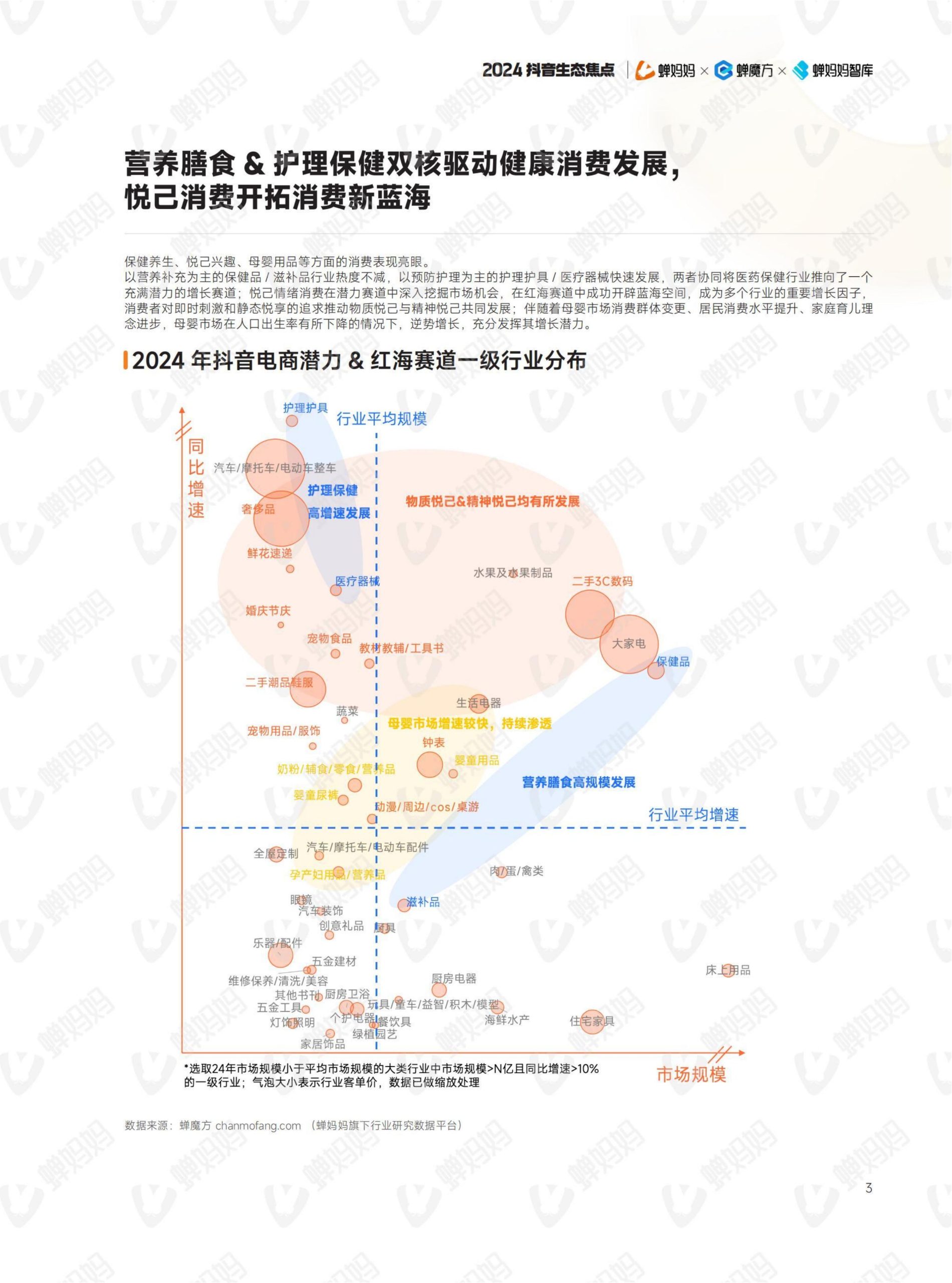 2024年抖音电商年报(8)